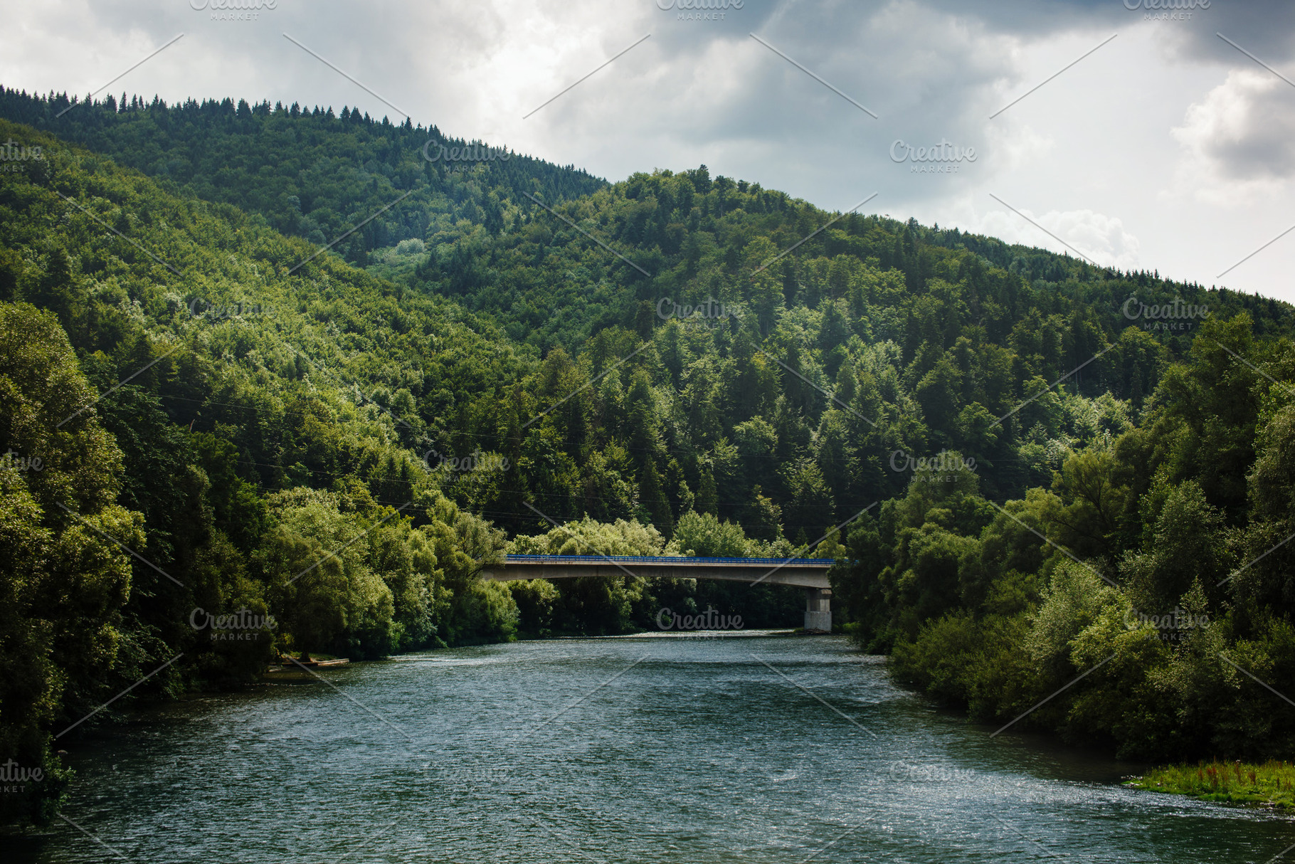 Summer landscape with mountain river running among hills covered, a Nature Photo by Daria Photo