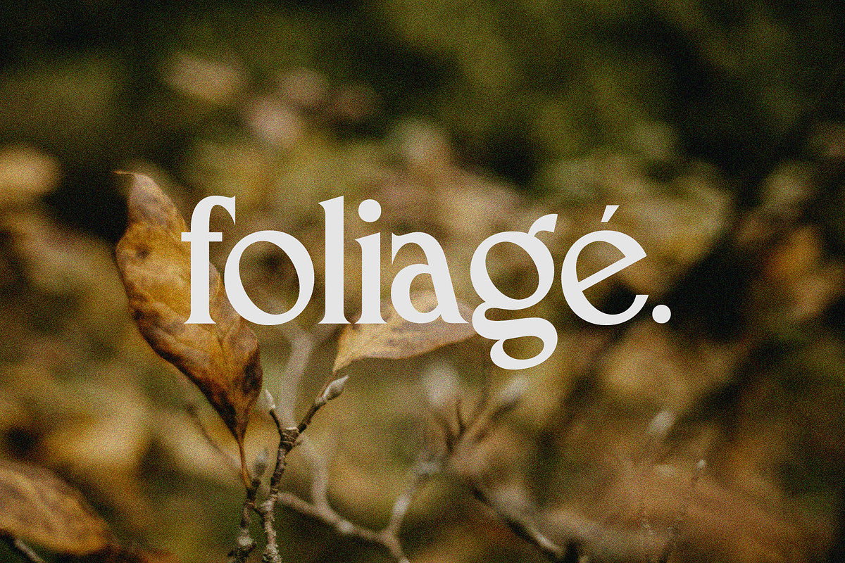 Macchiola | Vintage Display Serif, a Serif Font by Typoraith Co (Photo 12 of 15)
