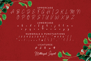 Bastery Handwritten Font