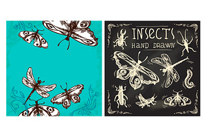 Insects Sketch Set