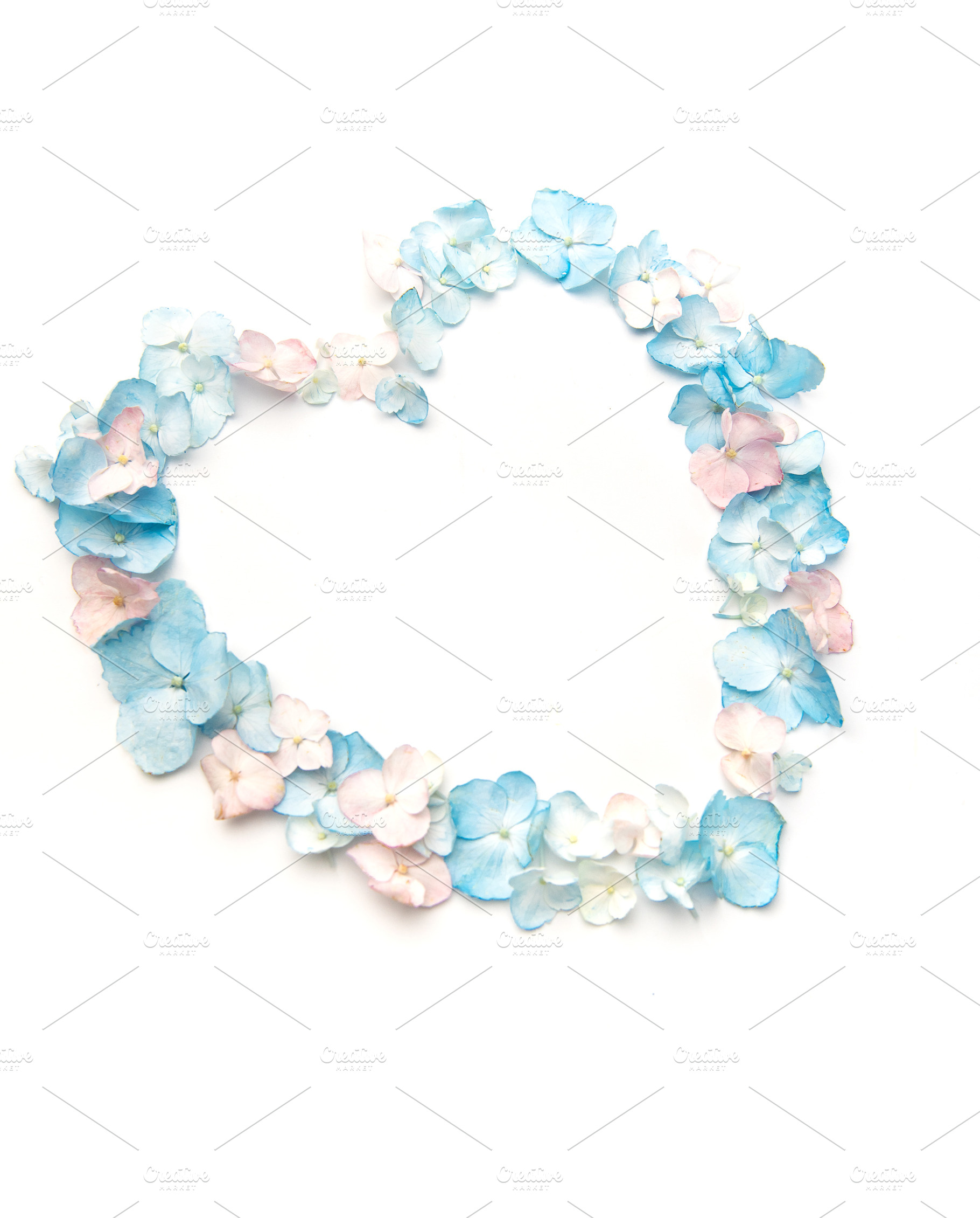 Hydrangea petals forming heart shape on white background, a Background Photo by Olena Rudo