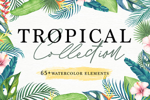 Tropical Collection