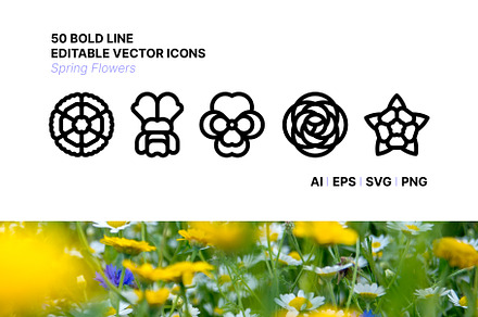 50 Spring Flowers Icons