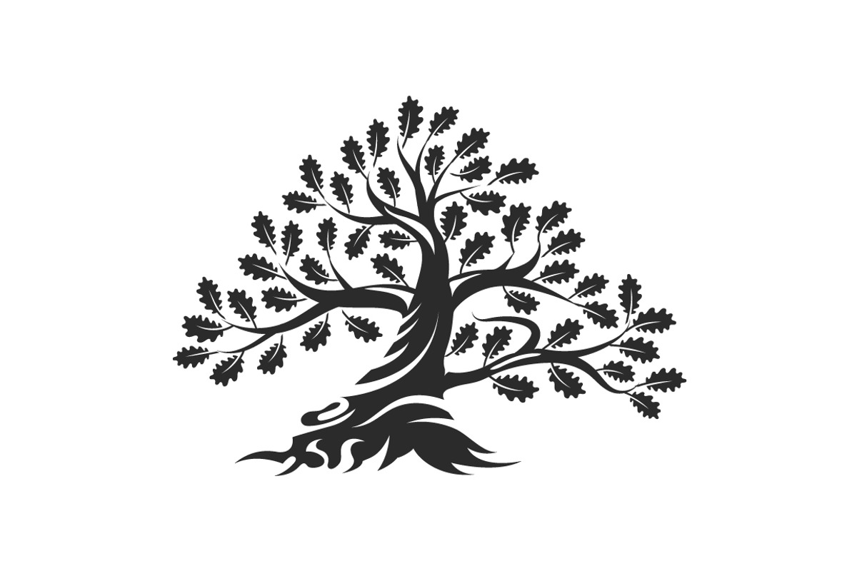 Isolated vector oak tree illustratio, an Object Illustration by provector