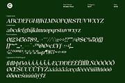 Briallen Pixel, a Serif Font by Craft Supply Co. (Thumbnail 8 of 8)