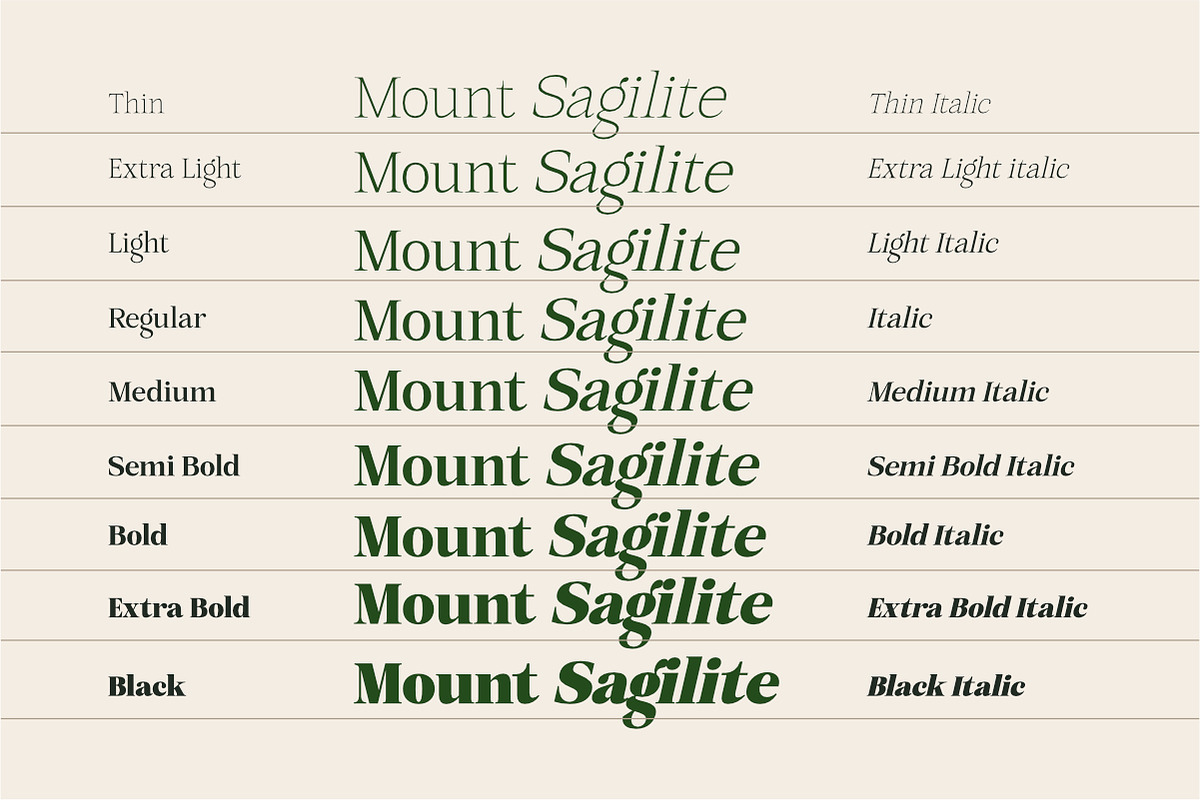 Mount Sagilite – Modern Serif Family, a Serif Font by Afkari Studio (Photo 10 of 12)