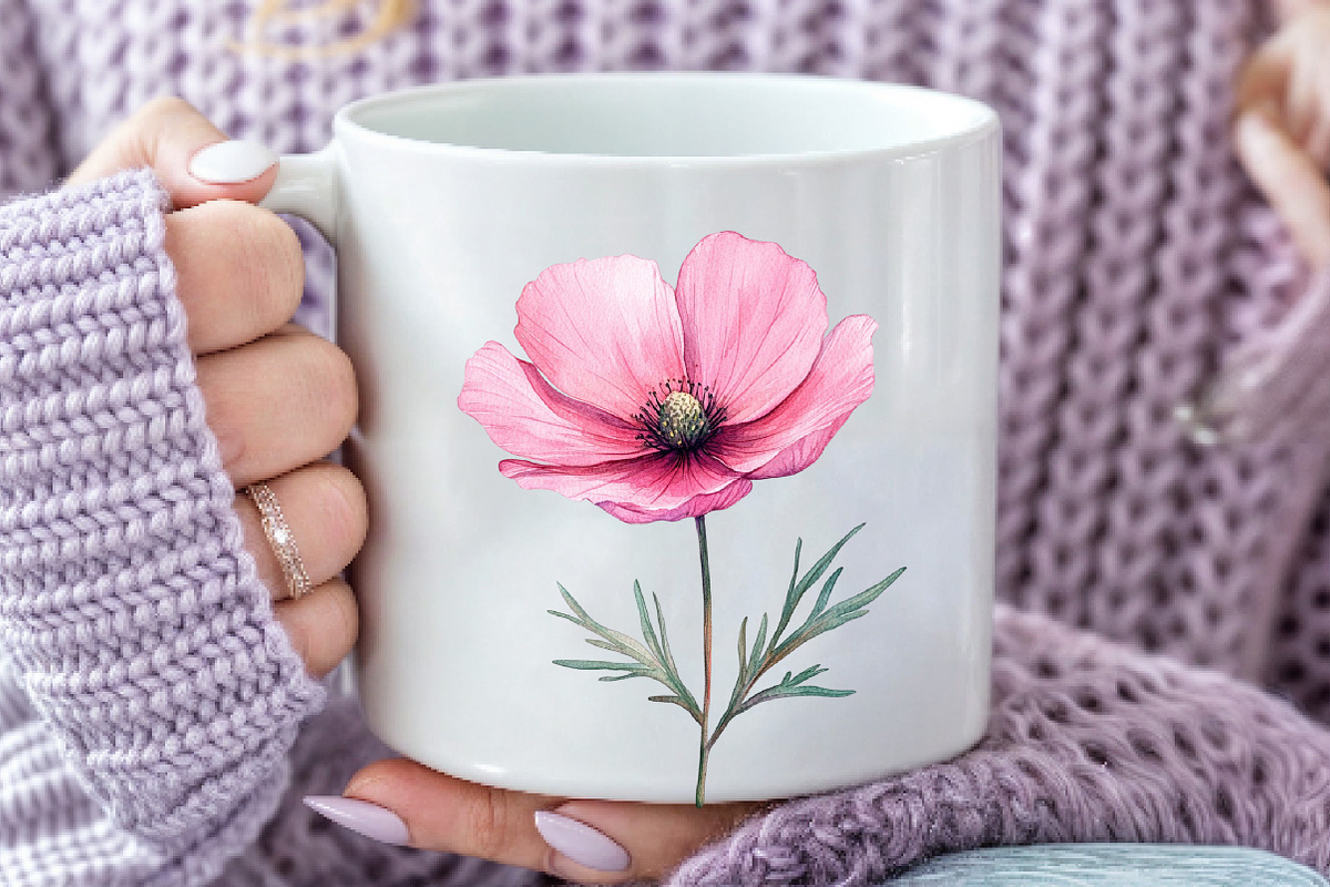 Watercolor Cosmos Flower Clipart, an Illustration by Dream Creation (Photo 7 of 7)