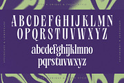 Wafterlic Modern Display Serif, a Serif Font by timelesstype.co (Thumbnail 17 of 20)