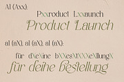 Stivra – Serif Font Family, a Serif Font by NDNL Studio (Thumbnail 10 of 11)