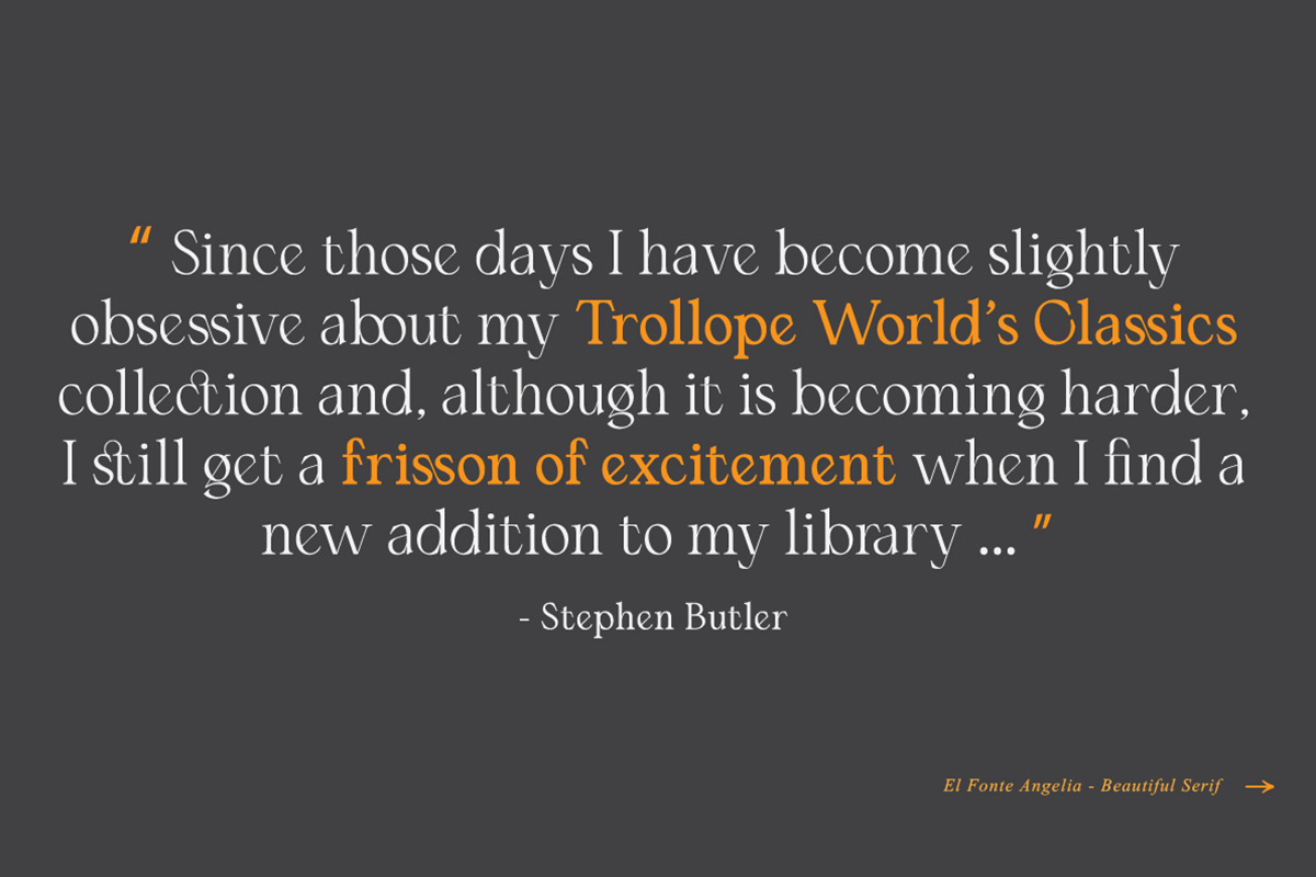 El Fonte Angelia | Ligature Serif, a Serif Font by Gilar Studio (Photo 7 of 11)