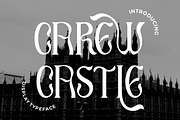 Carey Castle - Display Font, a Sans Serif Font by PutraCetol Studio (Thumbnail 1 of 11)