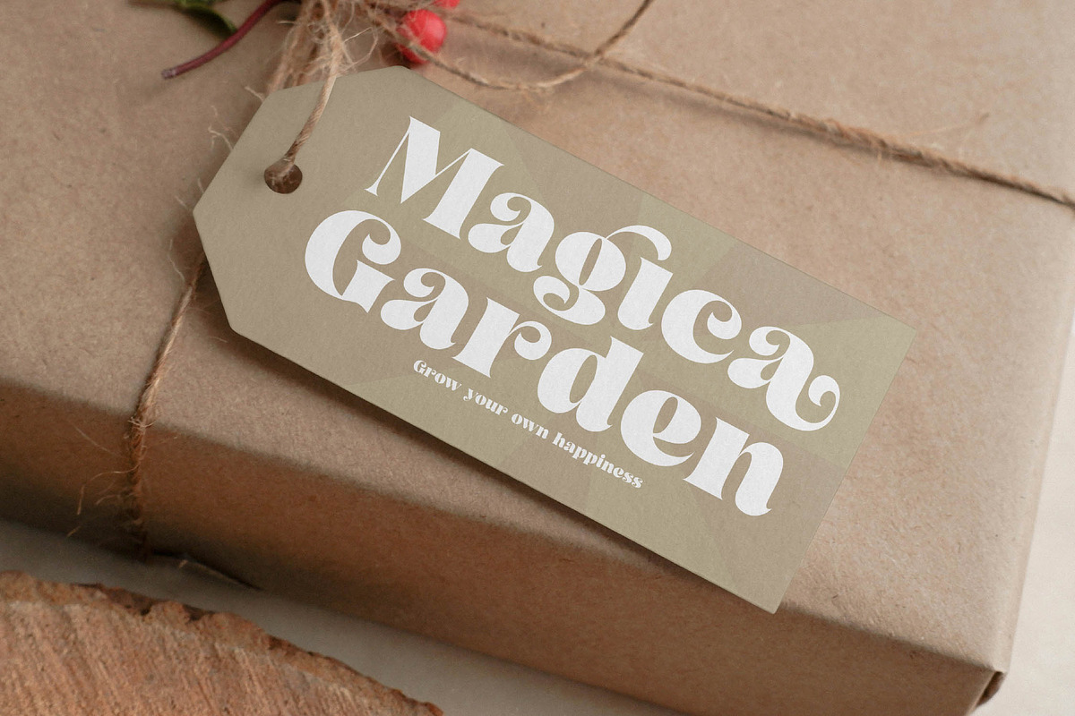 Arilast Kingde Modern Luxury Serif, a Serif Font by timelesstype.co (Photo 9 of 20)