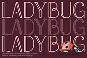 Bussi, a Font by Schriftlabor (Thumbnail 6 of 12)