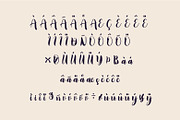 Rustic Wedding font, a Script Font by WAP (Thumbnail 9 of 9)