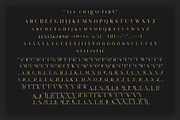 Salvalyn - Stylistic Serif Font, a Serif Font by Craft Supply Co. (Thumbnail 6 of 12)