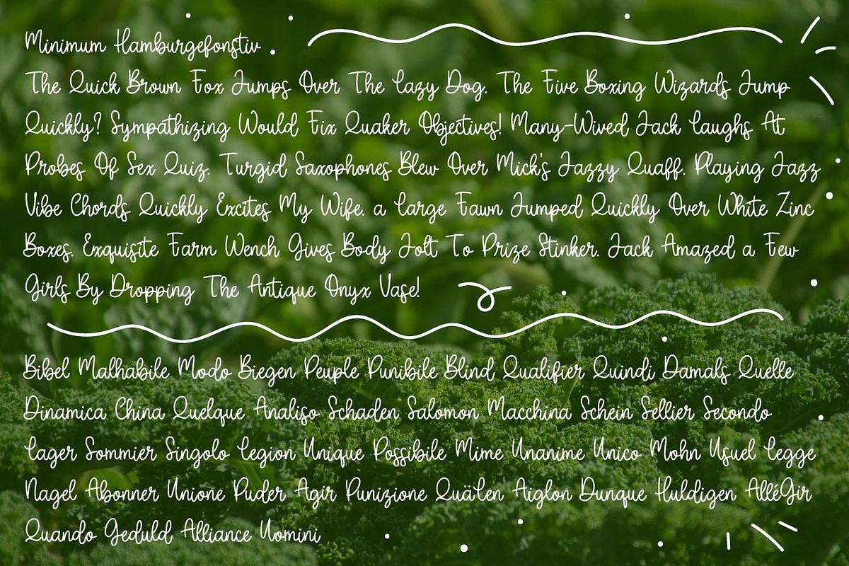 Broccoli script, a Font by Rashdrawn (Photo 3 of 3)