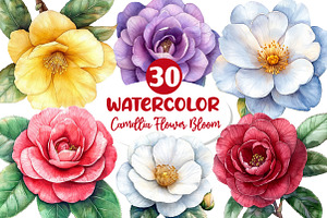 Camellia Flower Bloom Clipart, an Illustration by Dream Creation