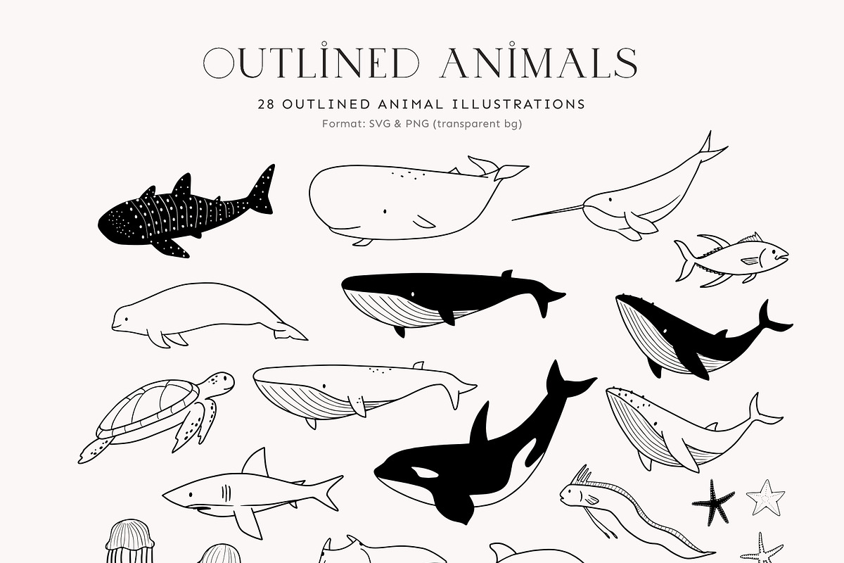 Ocean Animals: colored & outline, a Pattern Graphic by imajineko (Photo 10 of 12)