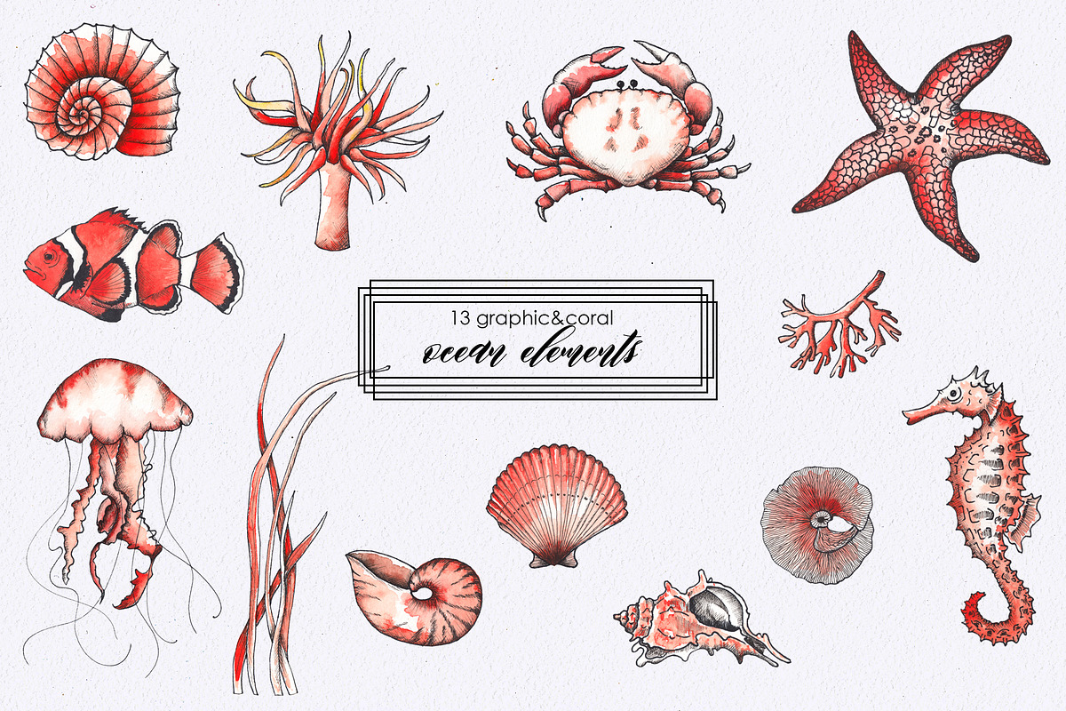 Ocean & sea underwater life, an Object Graphic by Ana-Sakuta (Photo 13 of 18)