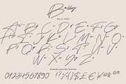 Bally | Handwritten Script Font, a Script Font by Studio&Story (Thumbnail 9 of 9)