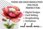 Whimsical Spring Poppy Flowers Clipa, an Illustration by Daily.Designs (Thumbnail 2 of 8)