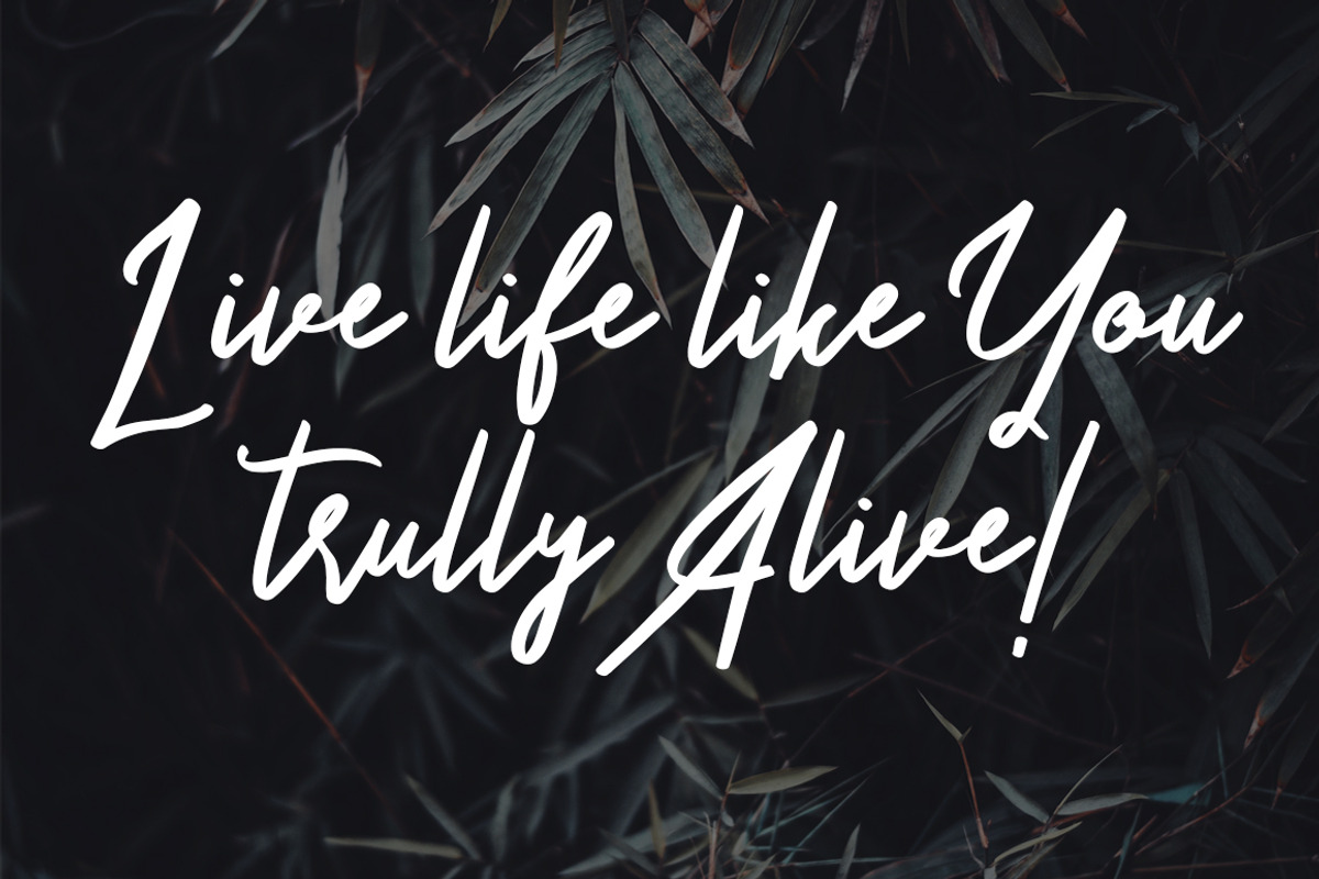 Something Cool – Font Duo Free Sans, a Script Font by Maulana Creative (Photo 3 of 9)
