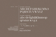 Falkon Modern Serif Font, a Serif Font by Perfectype (Thumbnail 8 of 8)