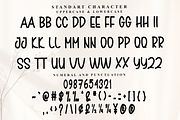 Aurora Designer, a Script Font by FreshTypeINK (Thumbnail 4 of 7)