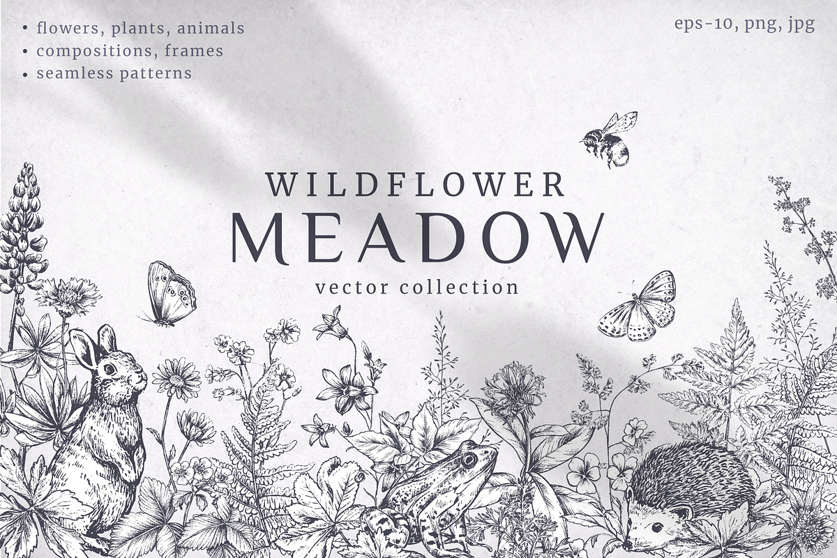 Wildflower Meadow Vector Set, a Decorative Illustration by Molly art (Photo 1 of 12)