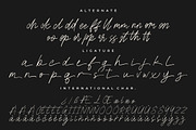 Gaston & Jacklyn Stylish Signature, a Script Font by Creatype Studio (Thumbnail 9 of 9)