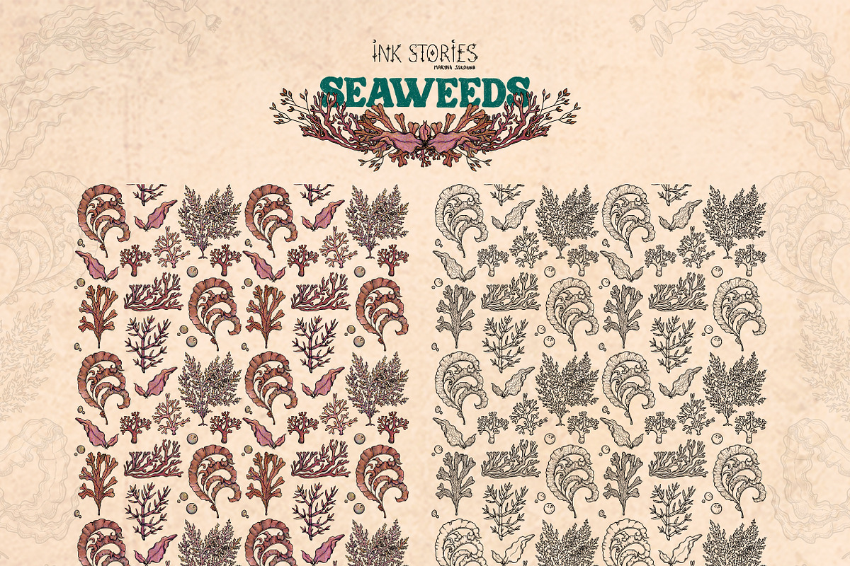 Seaweeds, an Object Illustration by Ink Stories (Photo 22 of 24)