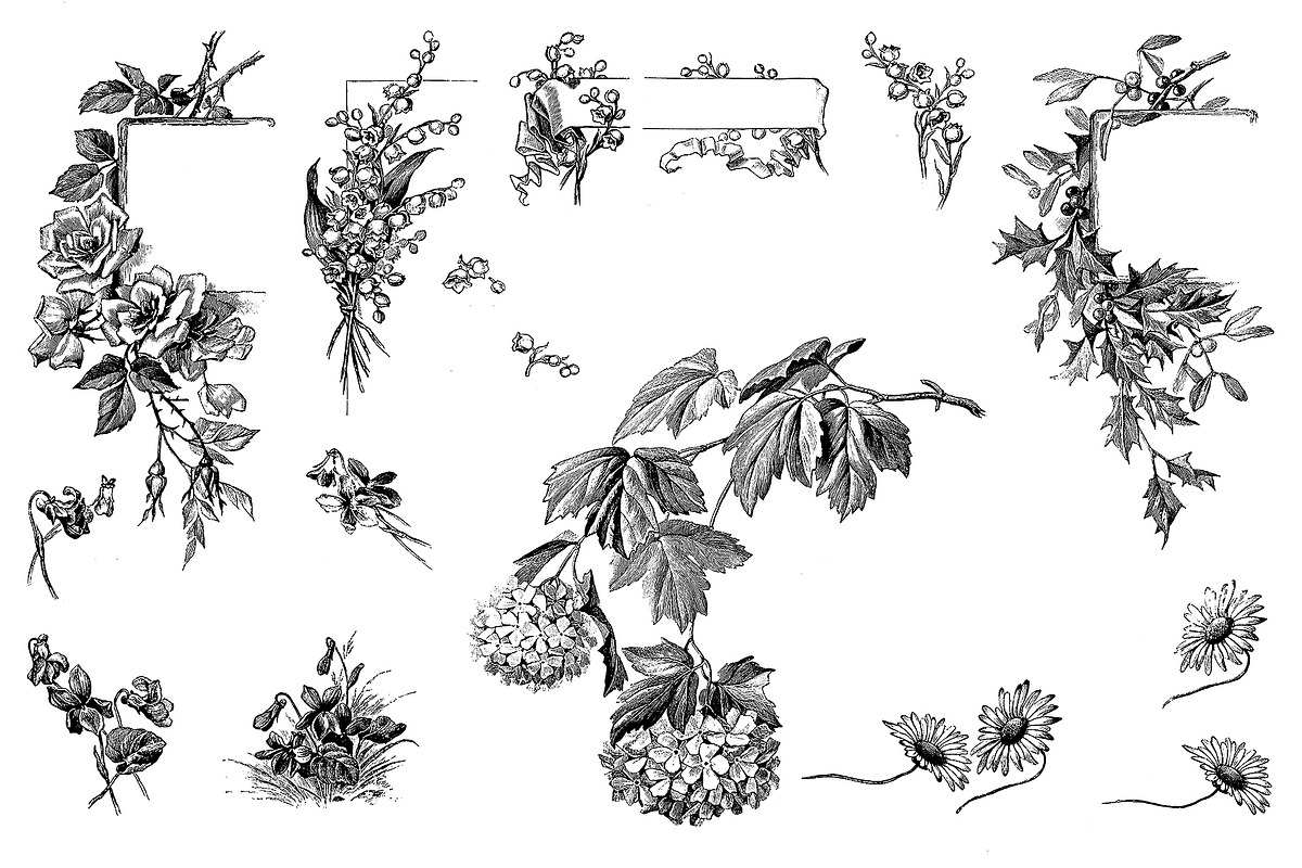 Procreate Botanical Collection, a Brush Add-On by AW Studios (Photo 4 of 6)