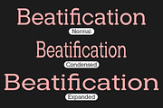 Noverion Slab, a Slab Serif Font by Typehill (Thumbnail 7 of 15)