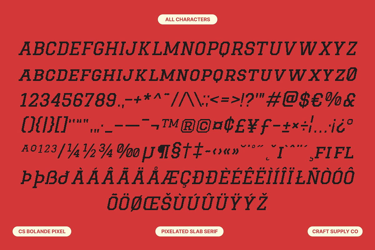 CS Bolande Pixel, a Slab Serif Font by Craft Supply Co. (Photo 8 of 8)