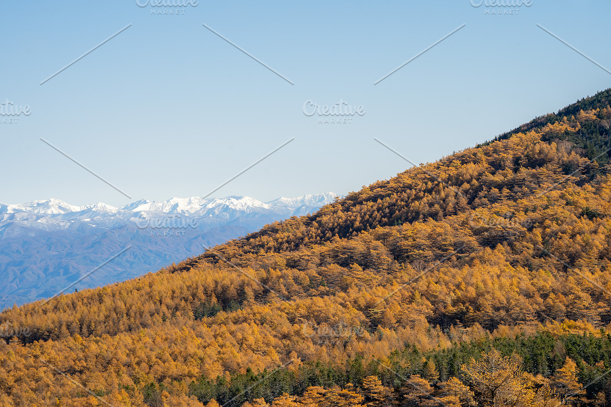 Autumn Landscape Photo Bundle Japan, a Nature Photo by Silent Nature (Photo 1 of 6)