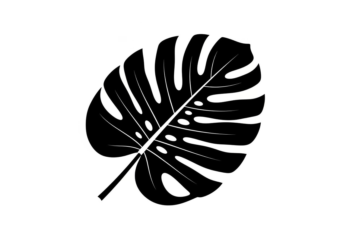 Monstera Leaf Silhouette Bundle, an Illustration by yasushie (Photo 18 of 31)