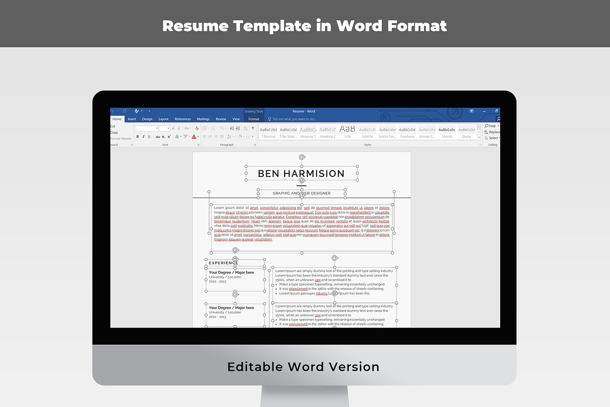 Cv template, a Resume Template by paulresume (Photo 4 of 4)