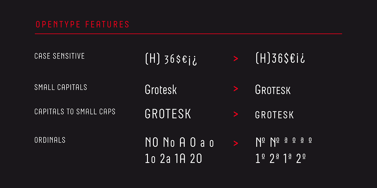 Neubau Pro, a Sans Serif Font by TipografiaRamis (Photo 8 of 11)