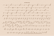 Dellatino - An Elegant Script Font, a Script Font by Ainun Jinan (Thumbnail 12 of 12)