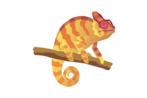 Chameleon lizard. Reptiles, an Animal Illustration by Things for designers