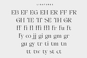 Coera - Elegant Serif Typeface, a Serif Font by Typocracy Studio (Thumbnail 5 of 10)