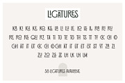 Hatchet & Arrow | 58 Ligatures, a Serif Font by Hustle Supply Co. (Thumbnail 2 of 8)