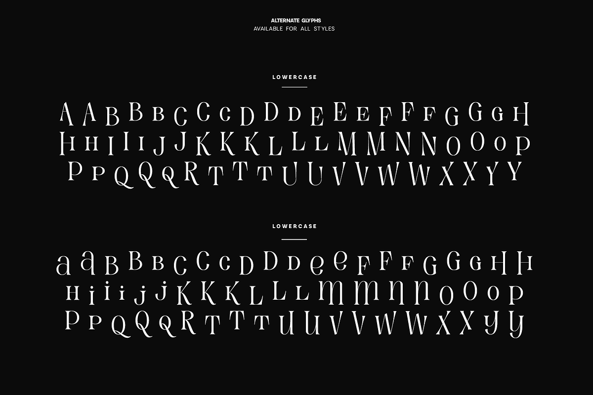 Evertype - Display Serif Font Family, a Serif Font by VP Fonts (Photo 27 of 32)