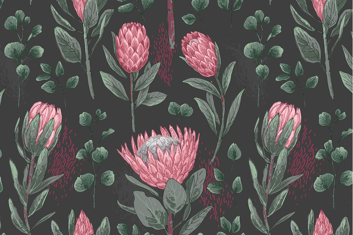 Protea flowers and eucalyptus sketch, an Illustration by irina.vaneeva (Photo 8 of 12)