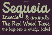 Outdoor Script | National Park Font, a Script Font by Vicarel Studios (Thumbnail 26 of 27)