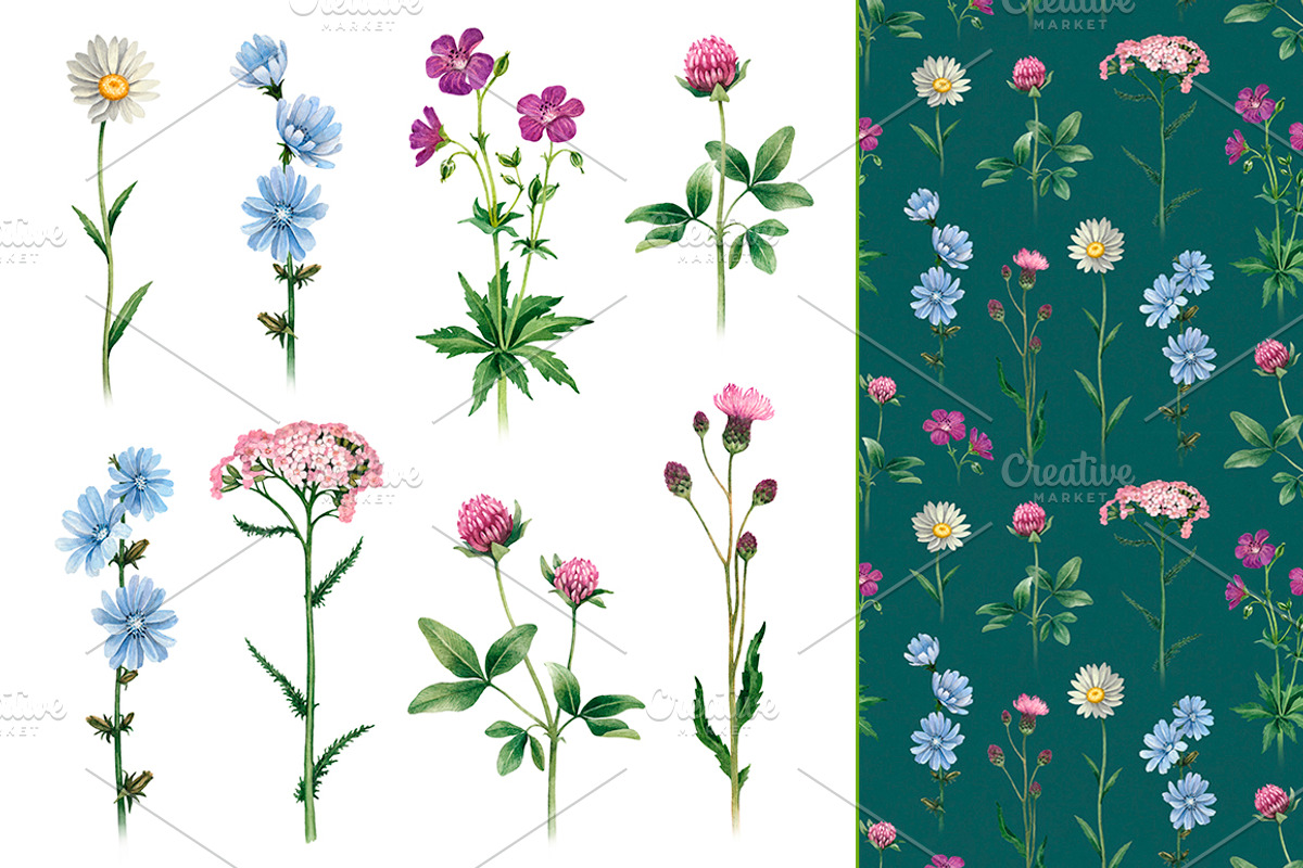 Watercolour wild nature, a Pattern Graphic by Sundra (Photo 4 of 19)
