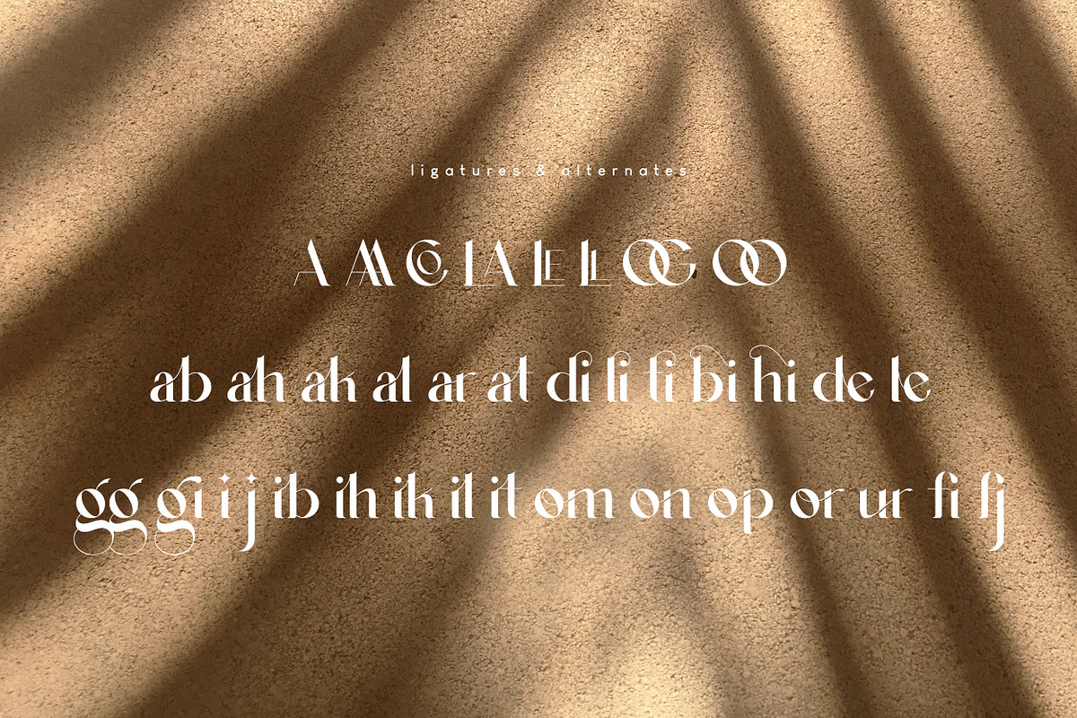 Agraham Serif Font, a Serif Font by Hishand Studio (Photo 2 of 12)