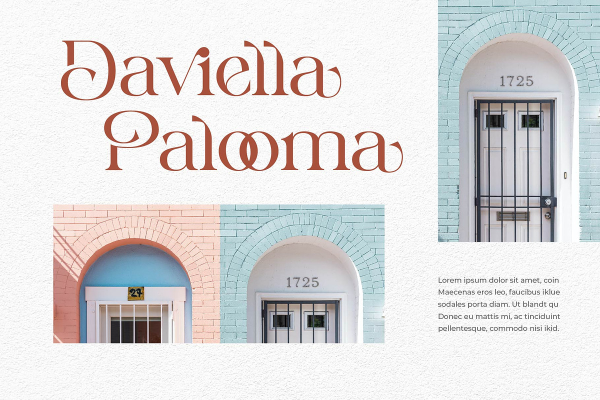 Bavicka - Stylish Ligature Font, a Serif Font by Aqeel_Art (Photo 2 of 8)