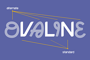 Ovaline - Modern Aesthetic Font, a Sans Serif Font by roomspace creative lab (Thumbnail 4 of 9)