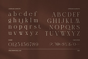 Megita Elegant Serif Font, a Serif Font by Elegant Font (Thumbnail 7 of 8)